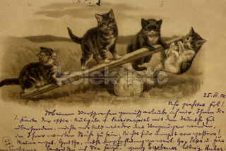 400 Kč GEN Pohlednice KOČKY MALOVANÉ, GEN145535