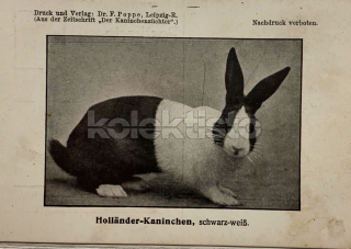 400 Kč GEN Pohlednice KRÁLÍCI, GEN145554