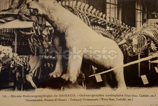 200 Kč GEN Pohlednice Medvědi, GEN145555