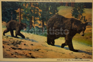200 Kč GEN Pohlednice Medvědi, GEN145561