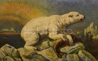 250 Kč GEN Pohlednice Medvědi, GEN145567