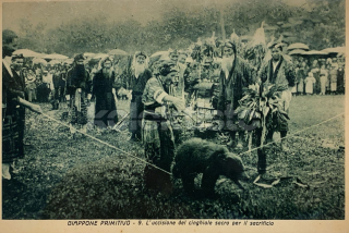 650 Kč GEN Pohlednice Medvědi, GEN145584