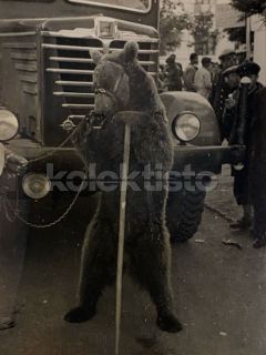 900 Kč GEN Pohlednice Medvědi, GEN145585