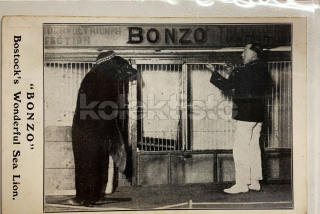 900 Kč GEN Pohlednice Medvědi cirkus, GEN145589