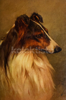 150 Kč GEN Pohlednice PSI, GEN145619