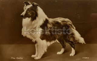 200 Kč GEN Pohlednice PSI, GEN145620