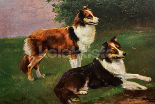 200 Kč GEN Pohlednice PSI, GEN145626