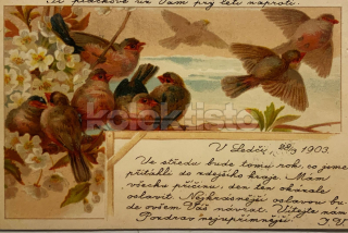 200 Kč GEN Pohlednice PTÁCI, GEN145668