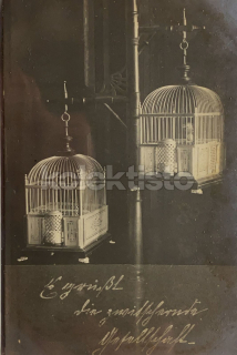 250 Kč GEN Pohlednice PTÁCI, GEN145670
