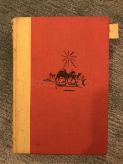 Kniha Rätsel der Wüste, autor A. M. Hassaneinbell,