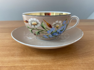 Porcelánový šálek s podšálkem s malovaným dekorem