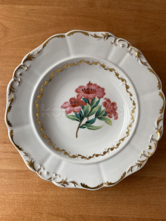 Porcelánový talíř