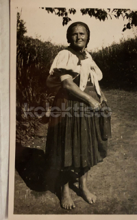 300 Kč BB Pohlednice Nedelište KROJE, SVK127674