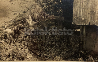 300 Kč BB Pohlednice Radvaň, SVK127677