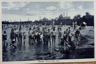 800 Kč BRA Pohlednice Senec, SVK127926