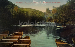 300 Kč BRA Pohlednice Bratislava, SVK128069