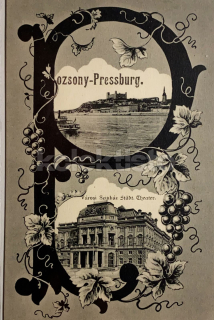 3000 Kč BRA Pohlednice Bratislava, SVK128084