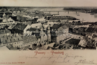 350 Kč BRA Pohlednice Bratislava SYNAGOGY, SVK128111