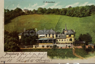 450 Kč BRA Pohlednice Bratislava, SVK128160