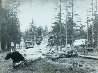 150 Kč XXX Foto NEURČENO, SVK128539