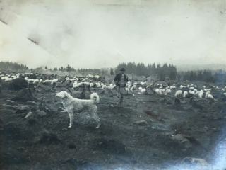 150 Kč XXX Foto NEURČENO, SVK128542