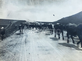 200 Kč XXX Foto NEURČENO, SVK128549