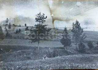 50 Kč XXX Foto NEURČENO, SVK128593
