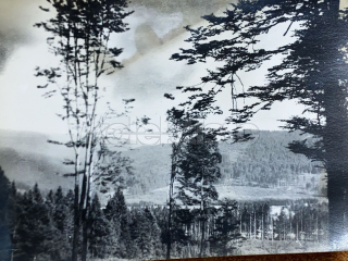 50 Kč XXX Foto NEURČENO, SVK128594