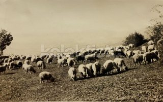 250 Kč PRE Pohlednice Levoča, SVK129086