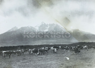 100 Kč PRE Foto Vysoké Tatry, SVK129148