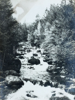100 Kč PRE Foto Vysoké Tatry, SVK129154