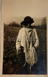 240 Kč TRE Pohlednice Dohňany - Mostiště KROJE, K.PLICKA, SVK129423