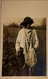 260 Kč TRE Pohlednice Dohňany - Mostiště KROJE, K.PLICKA, SVK129431