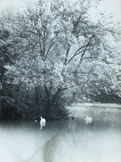 100 Kč TRE Foto Trenčianske Teplice, SVK129491