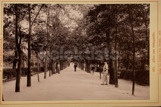 600 Kč CH Kabinetka Františkovy Lázně, CZE107608