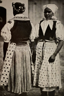 280 Kč JE Pohlednice Javorník KROJE, CZE111633