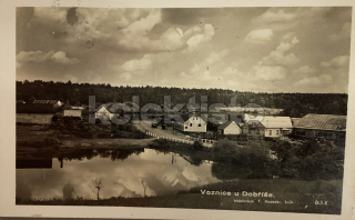 260 Kč PB Pohlednice Voznice, CZE120148