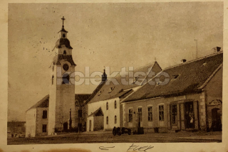 240 Kč ZN Pohlednice Štitary flek, CZE127114