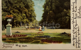 550 Kč BRA Pohlednice Bratislava, SVK128181