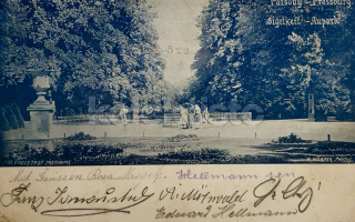 550 Kč BRA Pohlednice Bratislava, SVK128182