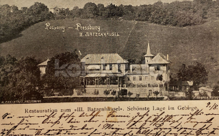 550 Kč BRA Pohlednice Bratislava, SVK128183